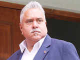 Vijay Mallya defaulter crisis not to impact Mangalore Chemicals and Fertilizers Ltd-Adventz pact