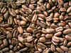 Scientists sequence coffee genome