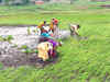 Now, stories on DD Kisan to promote best farm practices