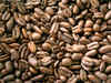What’s brewing: Coffee exporter CCL Products looks strong after 155% rally