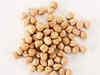 Chana futures gain 1.24 per cent on spot demand