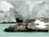 Life at King George Island, Antarctica