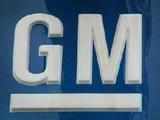 GM India hopes good growth in sales in N-E amid overall fall