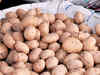 Soaring potato prices give Centre headache