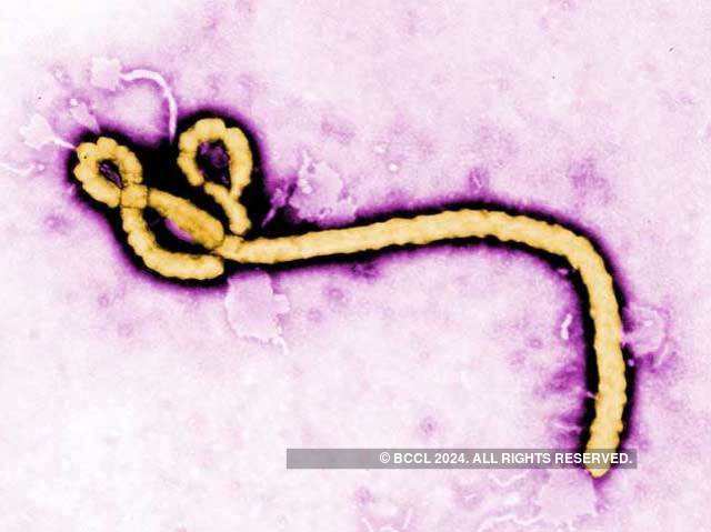 Concern over Ebola
