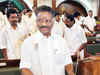 O Paneerselvam leads list of probables for substitute chief minister in Tamil Nadu