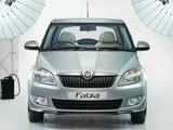 Skoda holding back investment in India due to "uncertainties"
