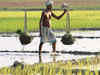Exports of 8 in 13 key agriculture products enter negative zone
