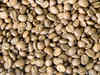 Global coffee exports drop 1.22% in Aug: International Coffee Organisation