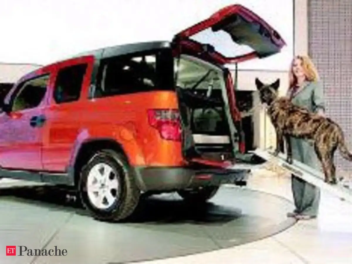 honda element dog ramp