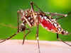 Dengue cases in India under-reported by 282 times: Study