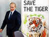 China on lookout for Siberian tiger released by Russian President Vladimir Putin