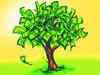 App Avaamo raises Rs 38 crore in seed fund
