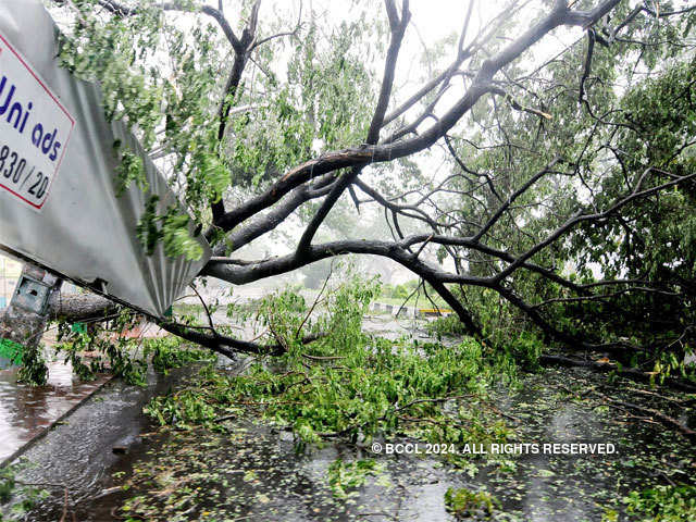Hudhud cyclone causes damage in Vizag
