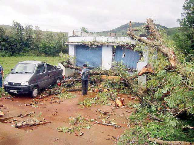 Car damaged by uprooted tree