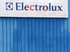 Electrolux targets Rs500 crore sales from small appliances by FY17