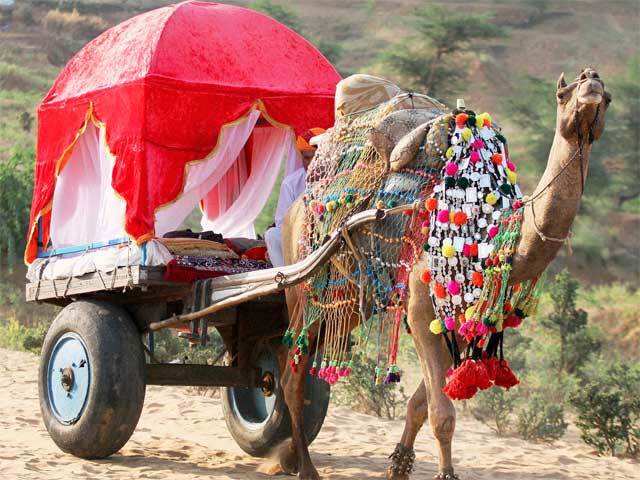 Pushkar Camel fair in Rajasthan