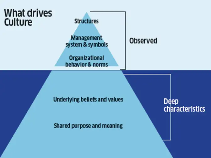 what is meant by the term organisational culture essay what is meant by the term organisational culture essay