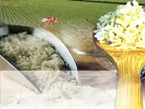 Exporters now want the government to restore an interest subvention scheme discontinued in March 2014 to help them. Exporters now want the government to restore an interest subvention scheme discontinued in March 2014 to help them.