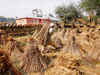Congress plans 'jail bharo' stir over paddy procurement in Chhattisgarh