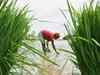 Chhattisgarh: Farmers warn government to protest against paddy MSP decision