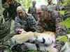 Tiger set free by Putin still roaming in China