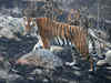 NTCA approves tiger reserve in Chhattisgarh