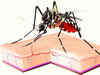 Delhi reports 781 dengue cases till November 22