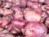 Onion auctions resume after being halted for a week