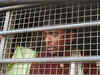 Around 6,500 Indians are in jails in 68 countries: Government