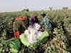 Spinners hail removal of registration of cotton for exports