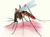 Over 111 crore Indians at risk of getting infected with malaria: World Malaria Report 2014