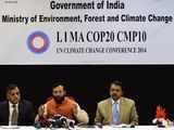 Lima climate summit: Saarc stands up to be counted as one