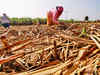 Rs 2,300 per tonne to be paid to cane growers by December end