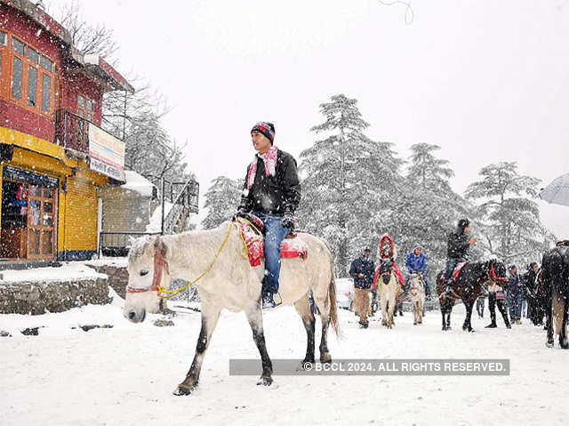 Tourists enjoy snowfall