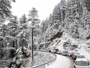 Beautiful images of first snowfall in Shimla