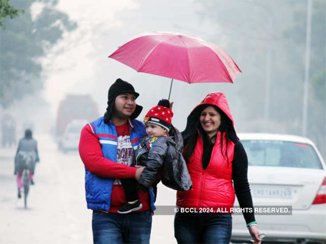 Chandigarh receives first rain of the winter