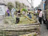 Punjab waives purchase tax on sugarcane for 2014-15