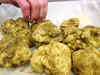 Pricey Piedmont truffles on Mumbai's rich list menu