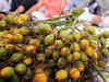 Big imports from Nepal, Sri Lanka pull down areca nut prices