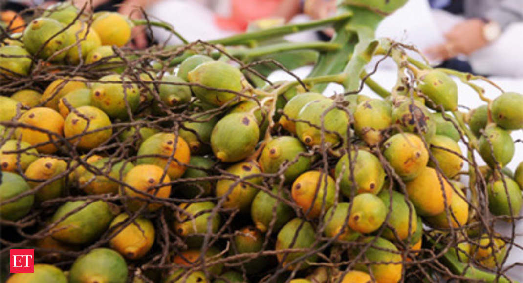 betel nut price today