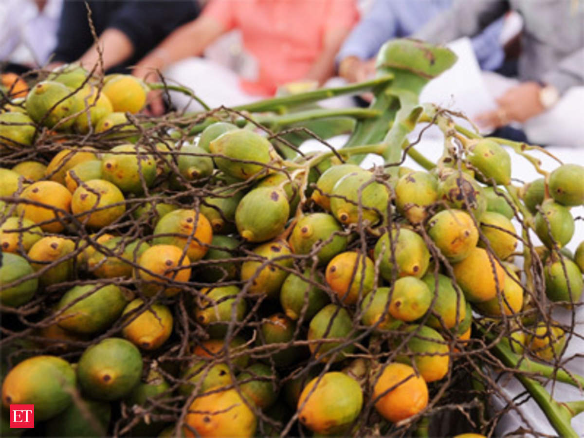 Big imports from Nepal, Sri Lanka pull down areca nut prices - The Economic  Times