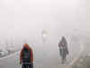 Fog, cold wave unabated in Punjab, Haryana