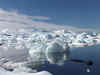 Underwater drone maps ice algae in Antarctica