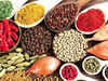 After fertilisers & salt, Tata Chemicals plans to enter essential need goods like spices, staples