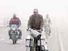 North India reels under intense cold; fog hits rail traffic