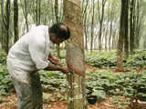 Rubber output shrinks by 36%, demand slows