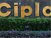 Cipla moves Delhi High Court against restraint on its Indacaterol-based drug
