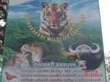 Sahyadri tiger reserve, Radhanagari to get more camera traps soon