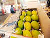 Asian business group hails lifting of Indian mango ban by EU